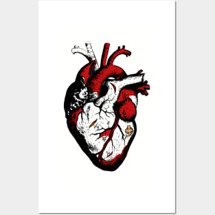 Working heart Posters and Art